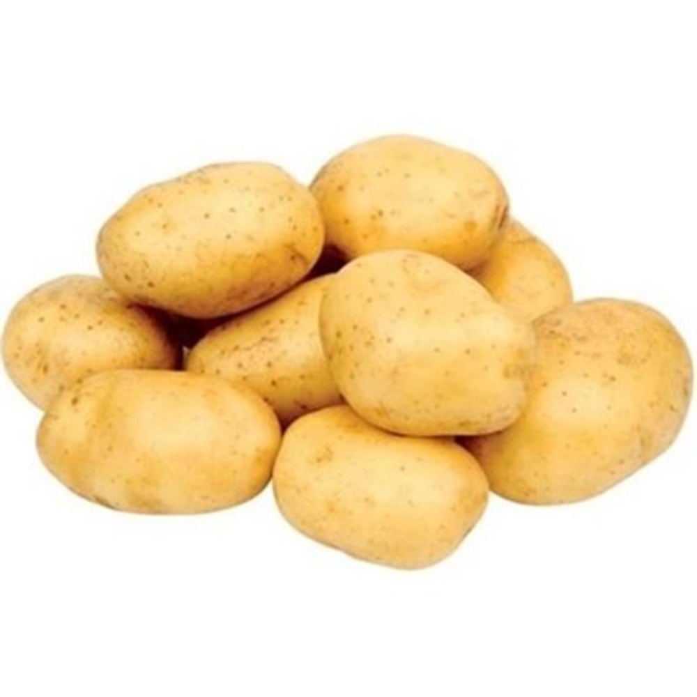 .PATATES TAZE KG.