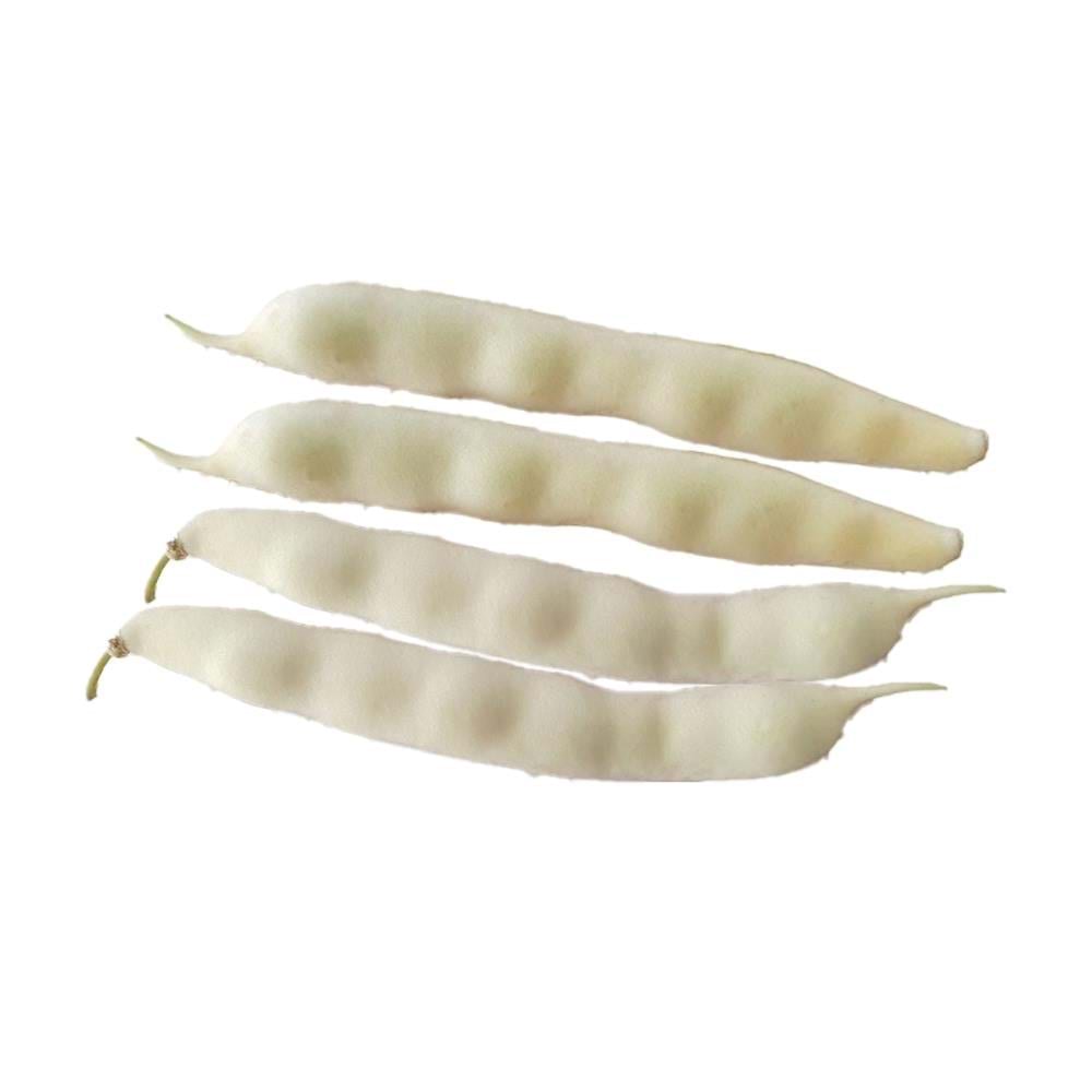 .BARBUNYA BEYAZ FASULYE (ŞEKER ) KG.