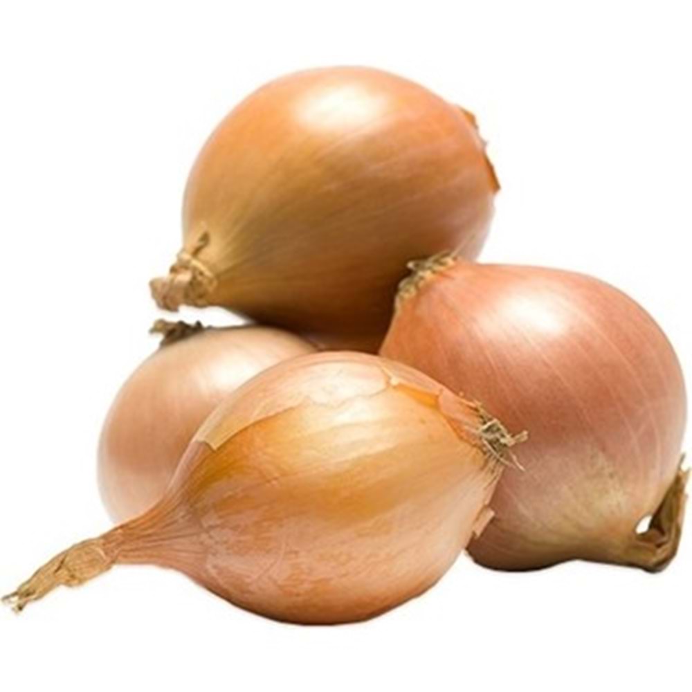 .SOĞAN ( KAVURMALIK )KG.