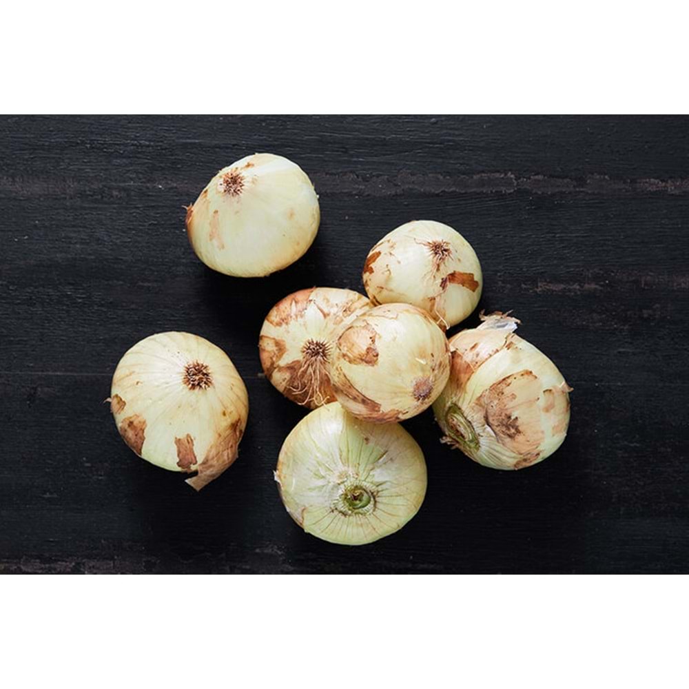 .SOĞAN ( TAZE ) KG.KURU SOĞAN