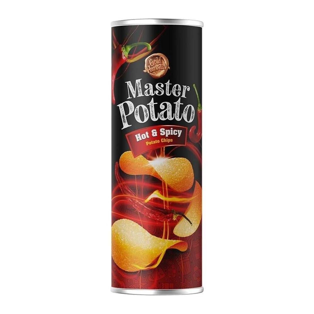 MASTER POTATO ACILI 160 GR CİPS