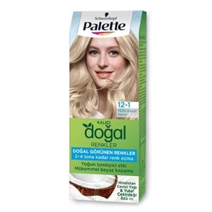 PALETTE KİT PNC 12-1 KÜLLÜ BUZUL SARISI