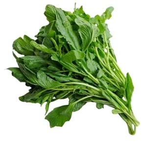 .TERE OTU BAĞ