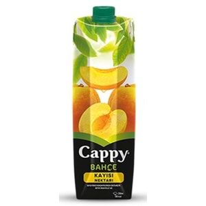 CAPPY 1LT KAYISI NEKTARI