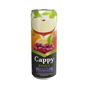 CAPPY 330ML KARIŞIK NEKTAR