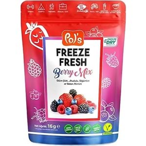 POLS FREEZE BERRY MIX 16GR