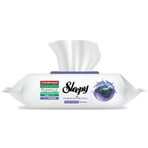 SLEEPY YÜZEY TEMİZLİK HAVLUSU DAĞ ESİNTİSİ 100 LÜ