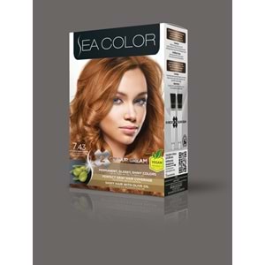 SEA COLOR SET BOYA 7-43 YOĞUN PARLAK BAKIR