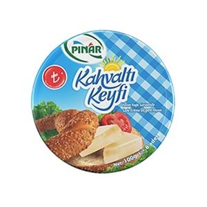 PINAR ÜÇGEN 100 GR FİYATLI