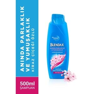 BLENDAX 1/1 500ML KİRAZ ÇİÇEĞİ ŞAMPUAN