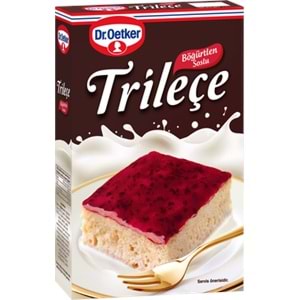 DR.OETKER TRİLEÇE BÖĞÜRTLEN 315 GR