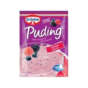 DR.OETKER PUDİNG ORMAN MEYVELİ 81 GR