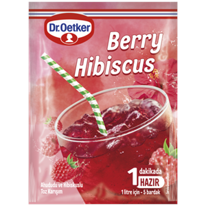 DR.OETKER BERRY HİBİSCUS HAZIR TOZ İÇECEK 90 GR