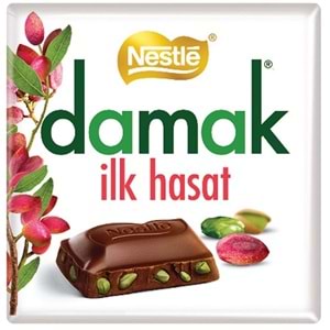 NESTLE DAMAK ÇİKOLATA İLK HASAT 60 GR KARE