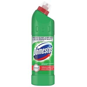 DOMESTOS 806 GR DAĞ ESİNTİSİ