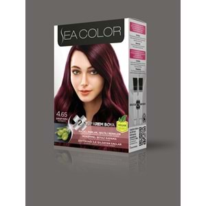 SEA COLOR SET BOYA 4.65 ŞARAP KIZILI