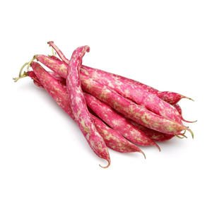 .BARBUNYA FASULYE TAZE KG.