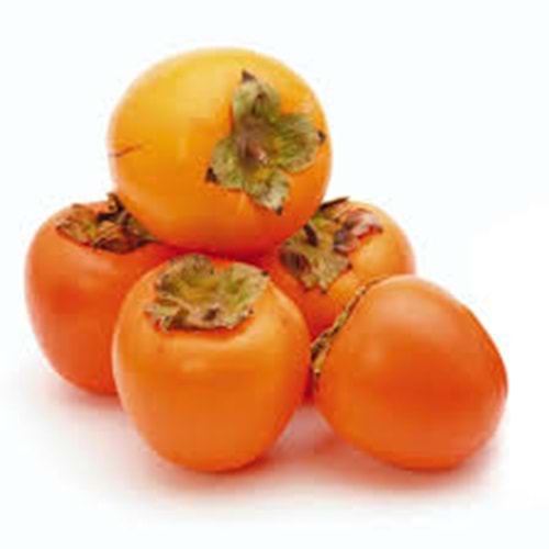 .HURMA ( CENNET ) KG.