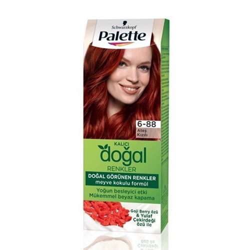 PALETTE KİT PNC 6-88