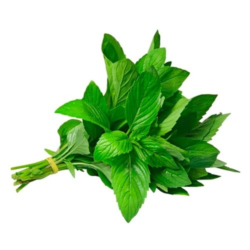 .NANE BAĞ.