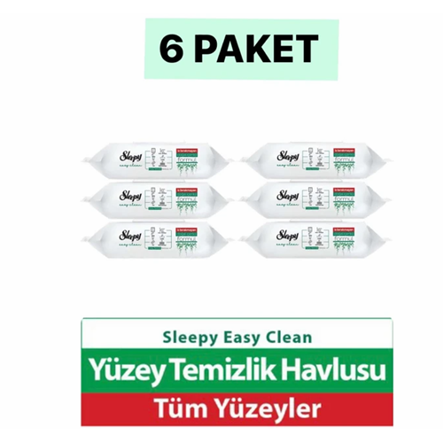Sleepy Easy Clean Yüzey Temizlik Havlusu 100'LÜ 6 Paket