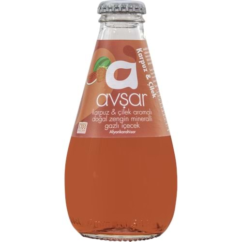 AVŞAR 200ML KARPUZ ÇİLEK MADEN SUYU