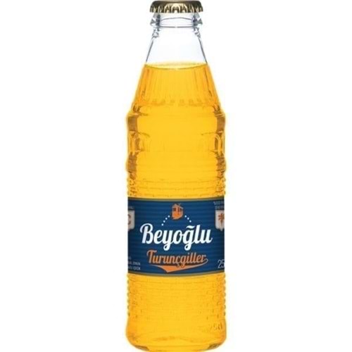 BEYOĞLU 250ML TURUNCU GAZLI İÇECEK