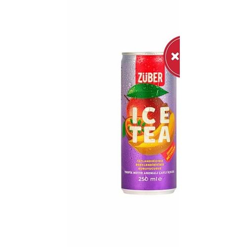 ZÜBER ICE TEA TROPİK MEYVELİ 200 ML