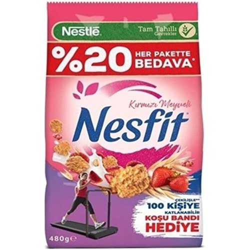 NESTLE NESFİT KIRMIZI MEYVE 480 GR