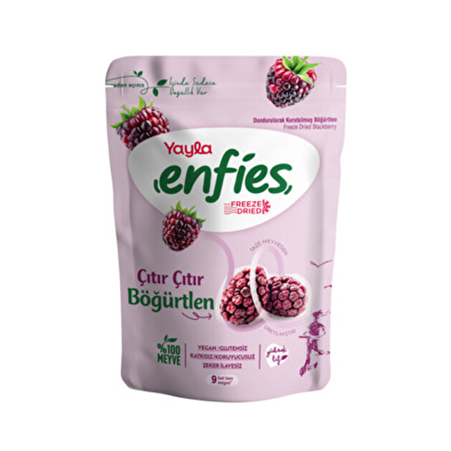 YAYLA FREEZE BÖGÜRTLEN 15 GR