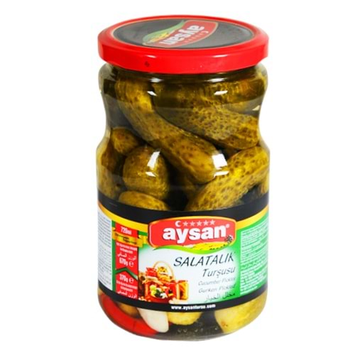 AYSAN SALATALIK TURŞUSU 670 GR