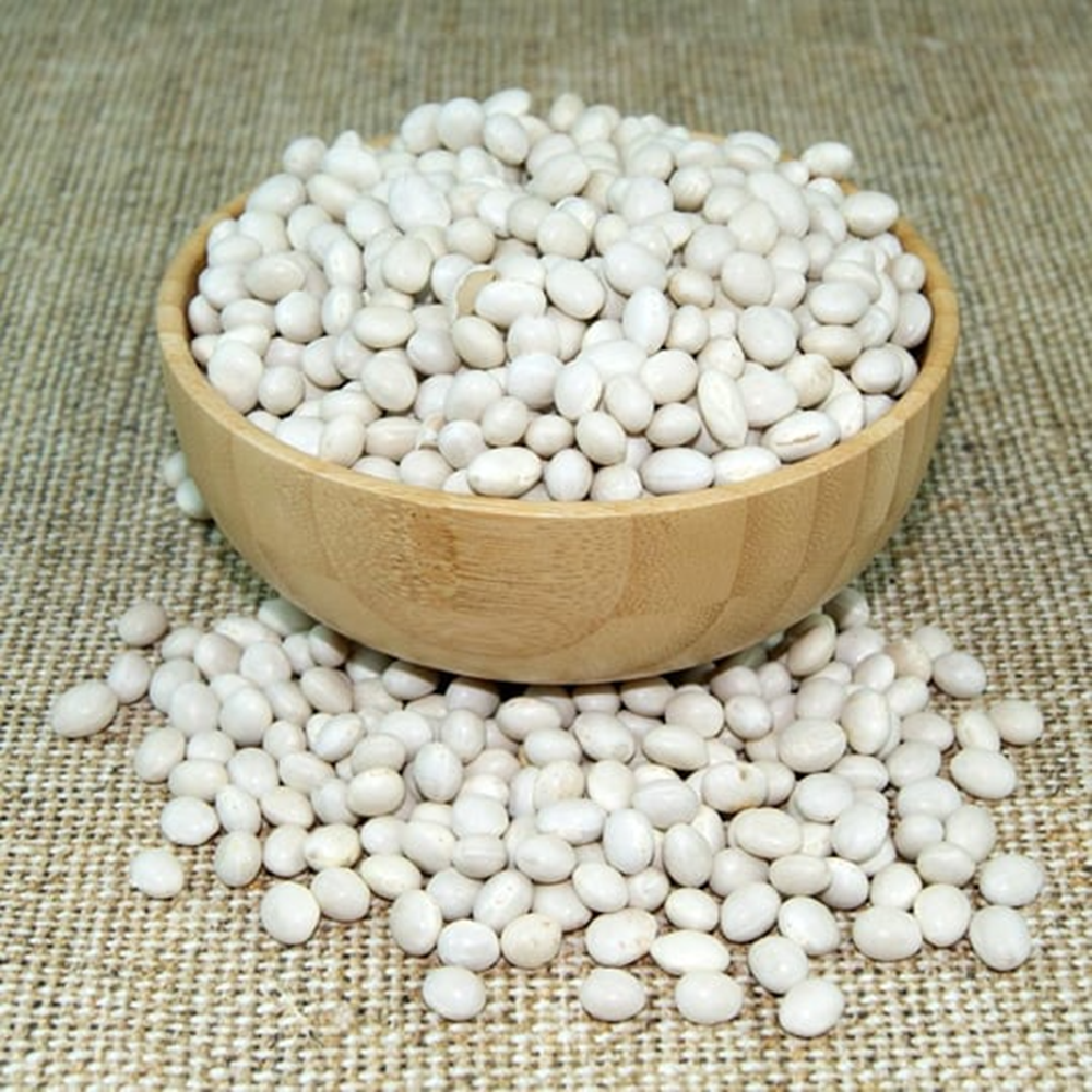 KURU FASULYE ELEK ÜSTÜ KELKİT KG.