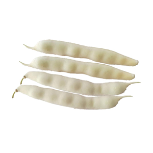 .BARBUNYA BEYAZ FASULYE (ŞEKER ) KG.