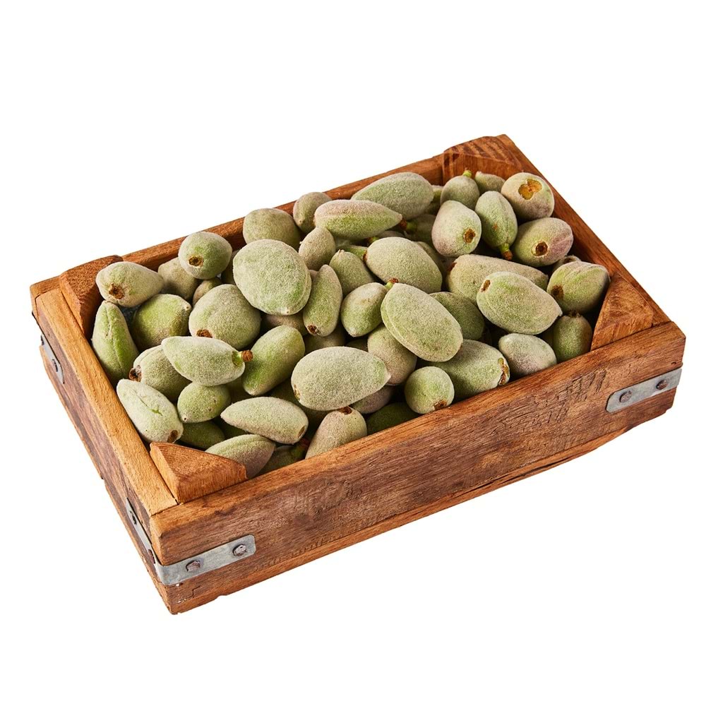 .BADEM - ÇAĞLA PAKET