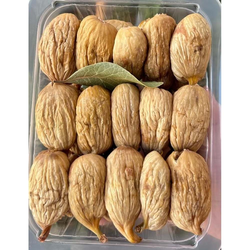 KUDA KURU İNCİR 500 GR