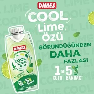 DİMES COOL LİME 310 ML