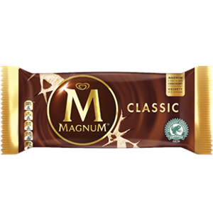 MAGNUM CLASSIC PRM 20X100ML