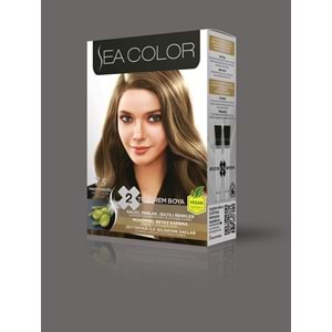 SEA COLOR SET BOYA 7.3 FINDIK KABUĞU