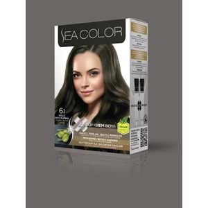 SEA COLOR SET BOYA 6.1 KÜLLÜ KOYU KUMRAL